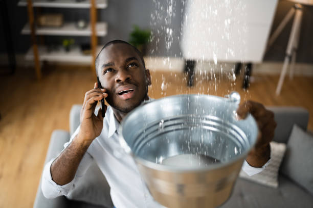 Best Local water damage restoration  in Bluffdale, UT