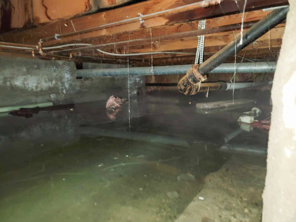 Best Emergency water damage restoration  in Bluffdale, UT