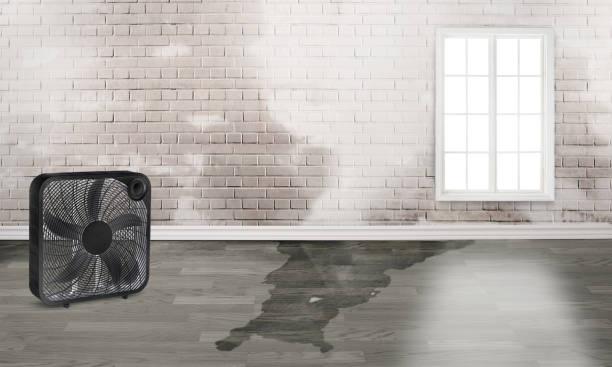 Best Commercial water damage restoration  in Bluffdale, UT