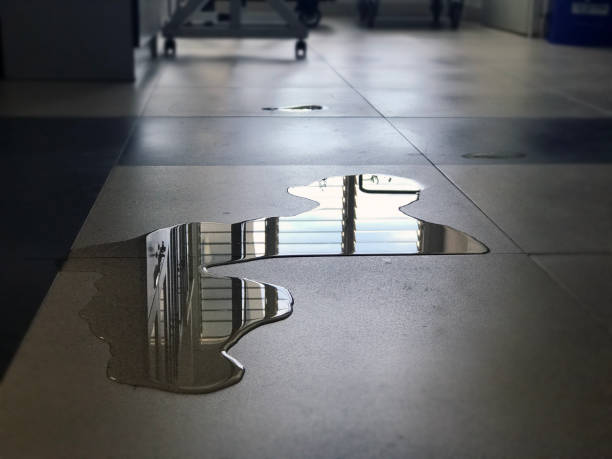 Best Water damage cleanup near me  in Bluffdale, UT
