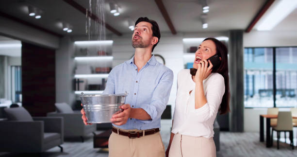 Best Water damage restoration services  in Bluffdale, UT